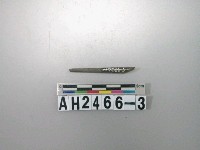 藏品(石針殘件)的圖片